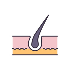 Hair Related Vector Line Icon. Isolated on White Background. Editable Stroke