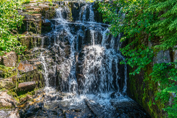 Mount Rainier Summer Waterfall 6