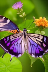 Naklejka premium Great nature with butterfly