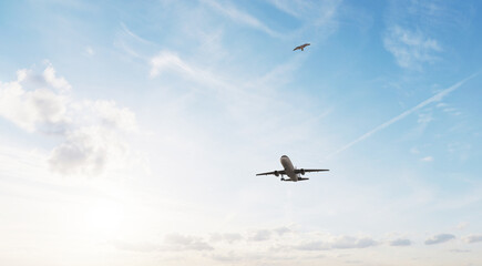 Airplane in the sky at sunset. Air transportation. Travel. Airplane Takes Off Against the Background of Blue Sky. 