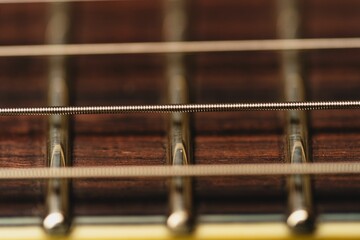 Macro shot of the strings of an electric guitar