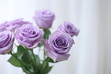 Purple Roses Bouquet on White Background - Created with Generative AI Tools
