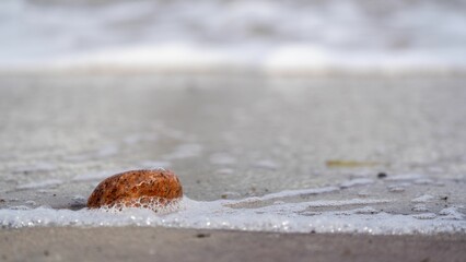 Large, smooth grey stone rests alone on the wet sand of a tranquil beach