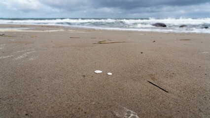 High-resolution closeup photo of a serene and tranquil beach shoreline