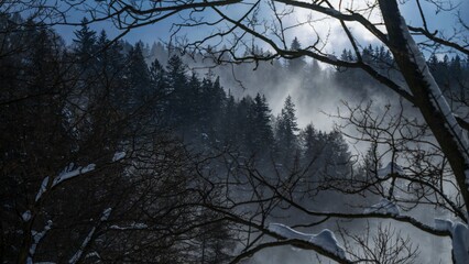 Night landscape of snow storm or blizzard over mountains with forest. Winter landscape, cold weather, blizzard and storm.