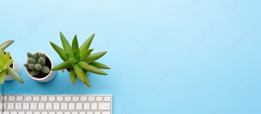 Poster a notebook with a keyboard, mouse, and cactus is seen on a blue background, isolated, with copy spac