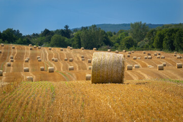 Straw bales in the summer sun on a hillside in Hungary.