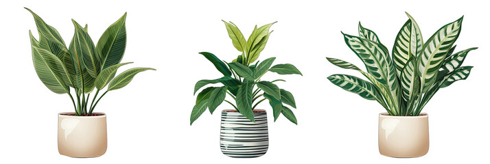 Naklejka na ściany i meble Set of 3 Beautiful Plants in Ceramic Pots Isolated on Transparent Background. AI Generated.