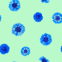 Seamless pattern of blue cornflower flowers on light green background