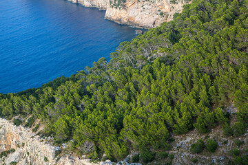 Hiking holidays Mallorca, Spain. Beautiful picture with landscape of Serra de Tramuntana mountains in the island of Majorca in Mediterranean sea. Paradise for bikers. Adventure travel.