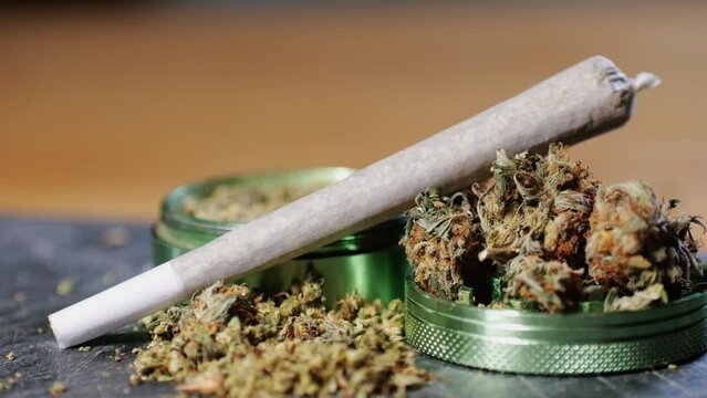 Medical Marijuana bud flowers of cannabis with big joint and grinder and shredded cannabis THC CBD close up, Amsterdam coffee shop. 