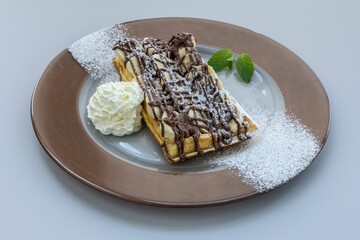 Close-up of a plate with a freshly-made waffle topped with a swirl of white whipped cream