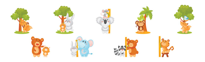 Funny Animals Measuring and Comparing Heights Vector Set