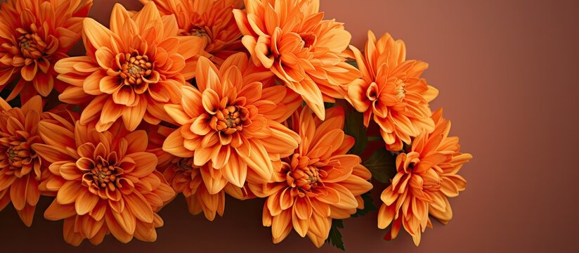 A close-up photograph of a bouquet of orange chrysanthemums with copy space