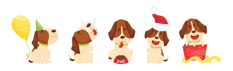 Jack Russell Terrier with Collar in Different Pose Vector Set