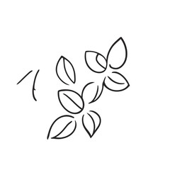 leaves vector illustration doodle line art