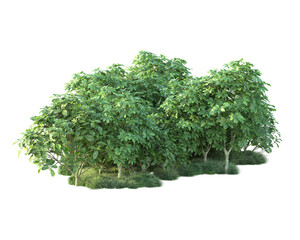 Obraz premium Green landscape isolated on transparent background. 3d rendering - illustration