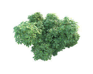 Obraz premium Green landscape isolated on transparent background. 3d rendering - illustration