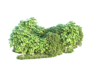 Fototapeta premium Green landscape isolated on transparent background. 3d rendering - illustration