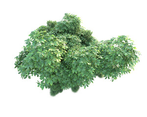 Obraz premium Green landscape isolated on transparent background. 3d rendering - illustration