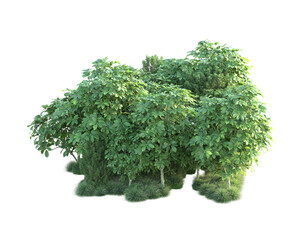 Obraz premium Green landscape isolated on transparent background. 3d rendering - illustration