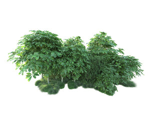 Obraz premium Green landscape isolated on transparent background. 3d rendering - illustration