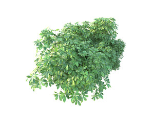 Green landscape isolated on transparent background. 3d rendering - illustration