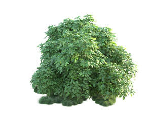Obraz premium Green landscape isolated on transparent background. 3d rendering - illustration