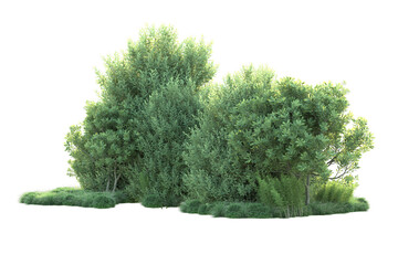 Green landscape isolated on transparent background. 3d rendering - illustration