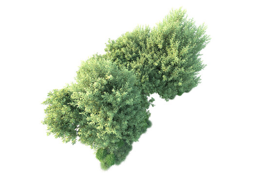 Green landscape isolated on transparent background. 3d rendering - illustration