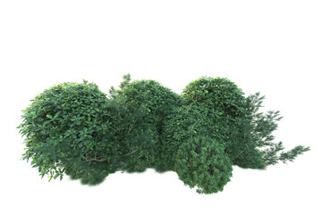Fototapeta premium Green landscape isolated on transparent background. 3d rendering - illustration