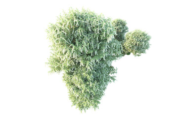 Obraz premium Green landscape isolated on transparent background. 3d rendering - illustration