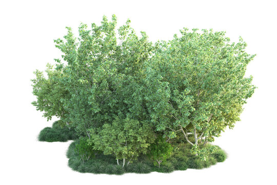 Green landscape isolated on transparent background. 3d rendering - illustration