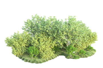 Fototapeta premium Green landscape isolated on transparent background. 3d rendering - illustration