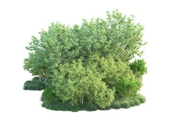Obraz premium Green landscape isolated on transparent background. 3d rendering - illustration