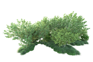 Obraz premium Green landscape isolated on transparent background. 3d rendering - illustration