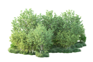 Obraz premium Green landscape isolated on transparent background. 3d rendering - illustration