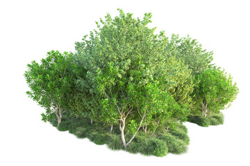 Green landscape isolated on transparent background. 3d rendering - illustration