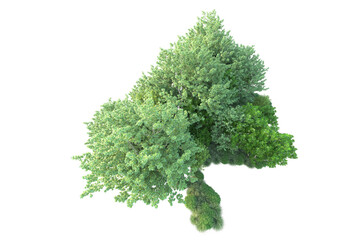 Fototapeta premium Green landscape isolated on transparent background. 3d rendering - illustration