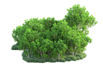 Fototapeta premium Green landscape isolated on transparent background. 3d rendering - illustration