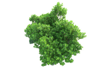 Obraz premium Green landscape isolated on transparent background. 3d rendering - illustration