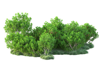 Obraz premium Green landscape isolated on transparent background. 3d rendering - illustration