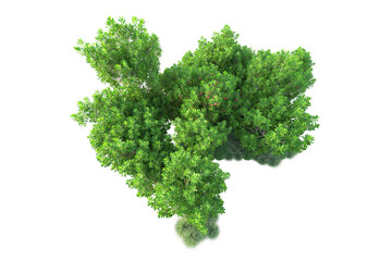 Green landscape isolated on transparent background. 3d rendering - illustration