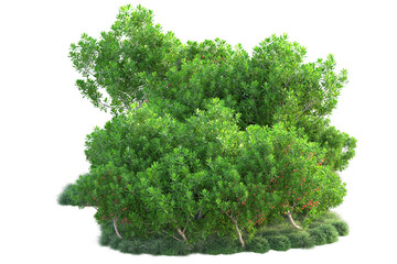 Fototapeta premium Green landscape isolated on transparent background. 3d rendering - illustration