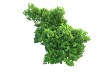 Green landscape isolated on transparent background. 3d rendering - illustration