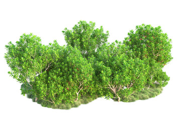 Obraz premium Green landscape isolated on transparent background. 3d rendering - illustration