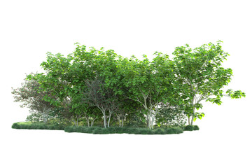 Green landscape isolated on transparent background. 3d rendering - illustration