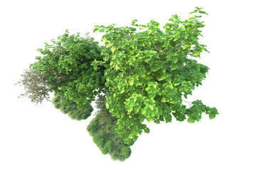Obraz premium Green landscape isolated on transparent background. 3d rendering - illustration