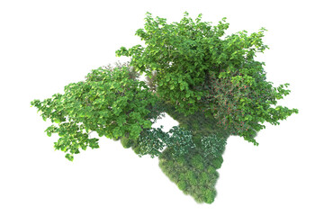 Green landscape isolated on transparent background. 3d rendering - illustration