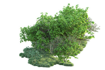 Obraz premium Green landscape isolated on transparent background. 3d rendering - illustration